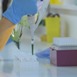 Innovation et qualité