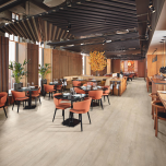 Van Gogh: rigid core