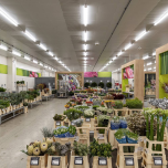 Landgard (Straelen-Herongen / Germany)