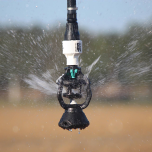 ARROSAGE MÉCANISÉ / Mechanized Irrigation