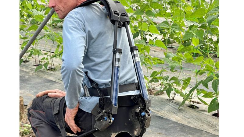 The painful nature of work in market gardening. How can we improve working conditions in market gardening? Robots and cobots, a solution?