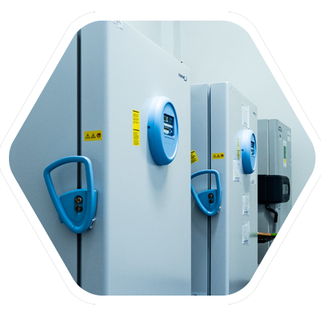 Global GMP Depot Network