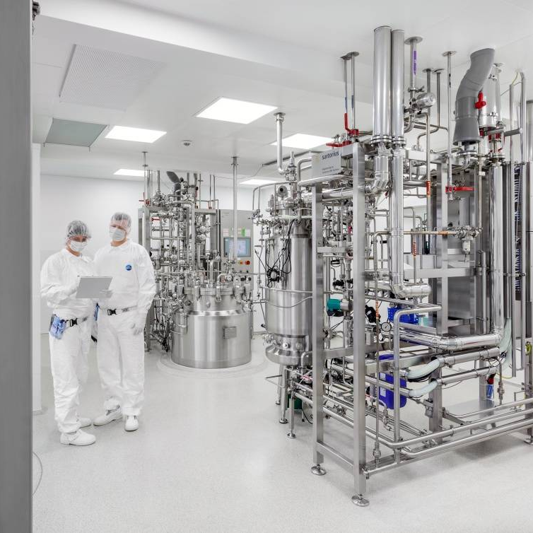 GMP Manufacturing Proteins