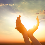 Techcomlight  Dé daglichtprofessional