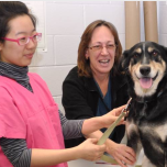 Associate Diploma Programs