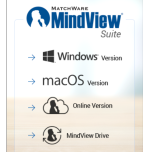 MindView