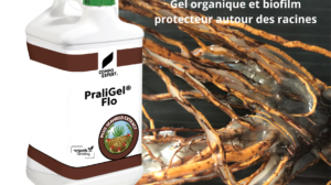 SIVAL Innovation 2024 : COMPO EXPERT France - PraliGel Flo