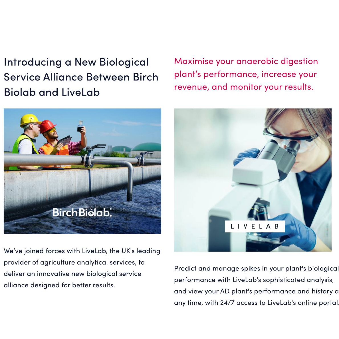 Biological Service Consultancy from Birch Biolab and LiveLab