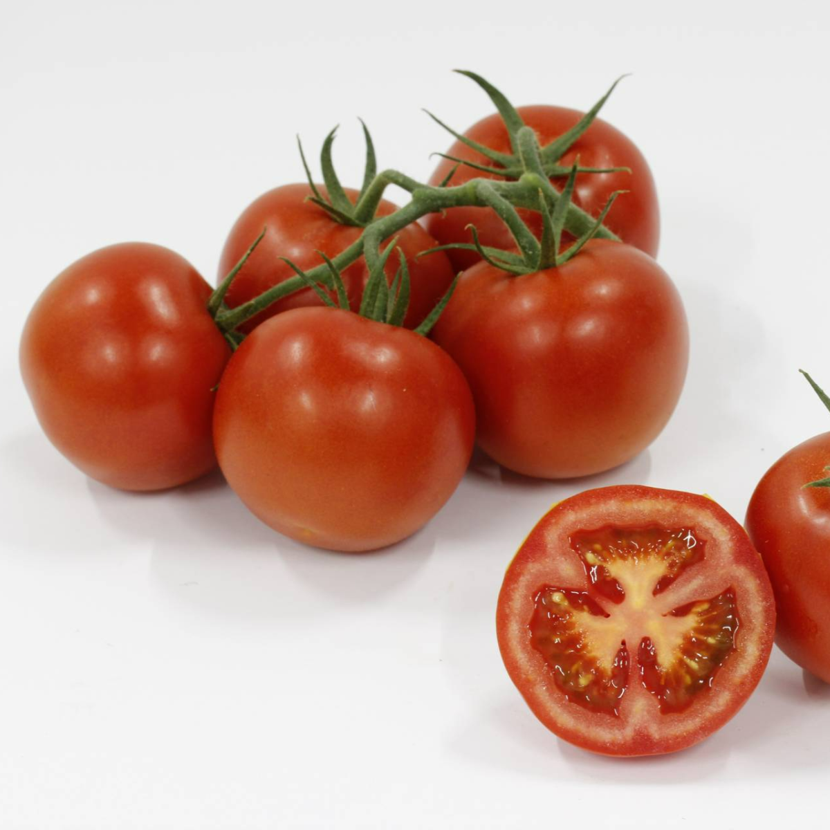 Tomate Xaverius