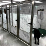 Mason on the Floor Sani-Kennel