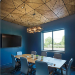 DesignFlex - Reinvent your Ceiling