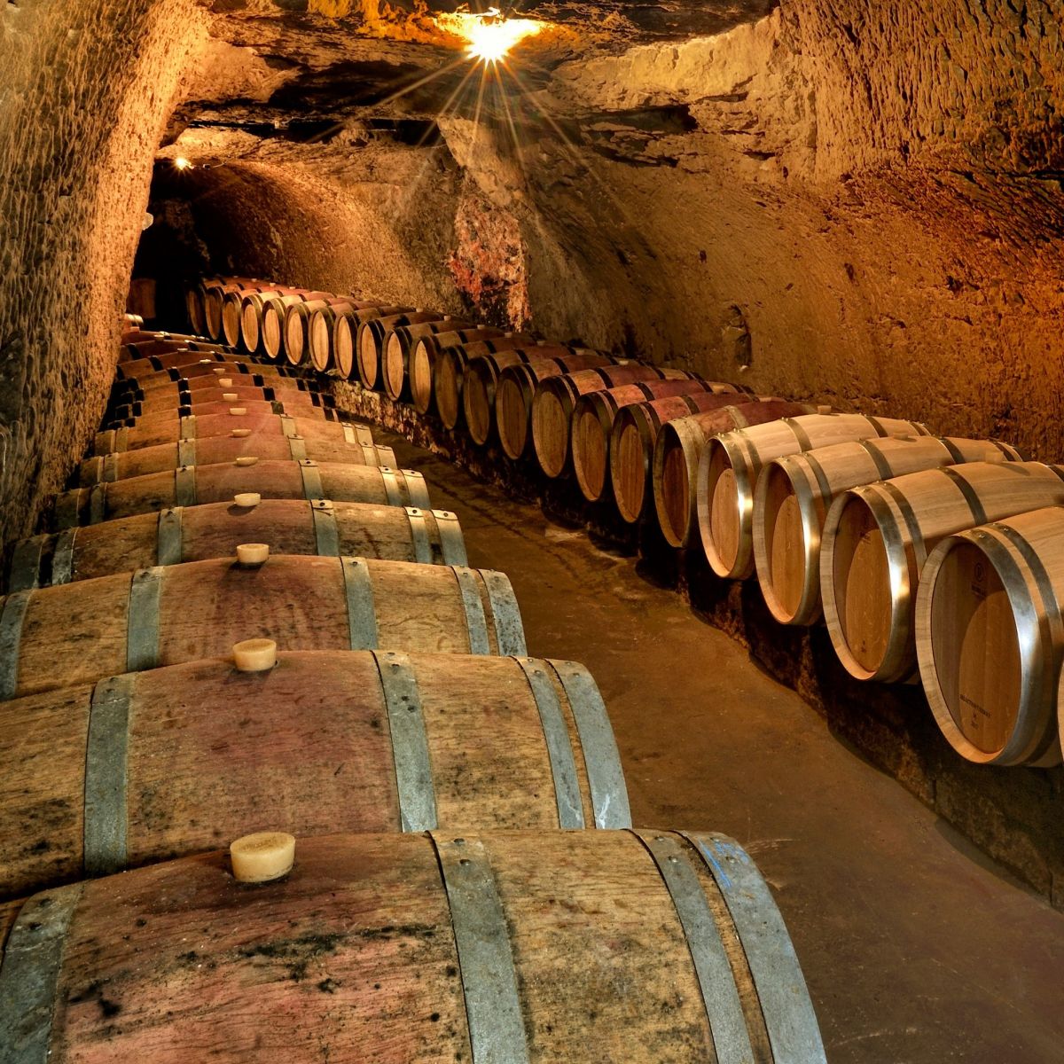 DEGUSTATION ET VISITE DE LA CAVE