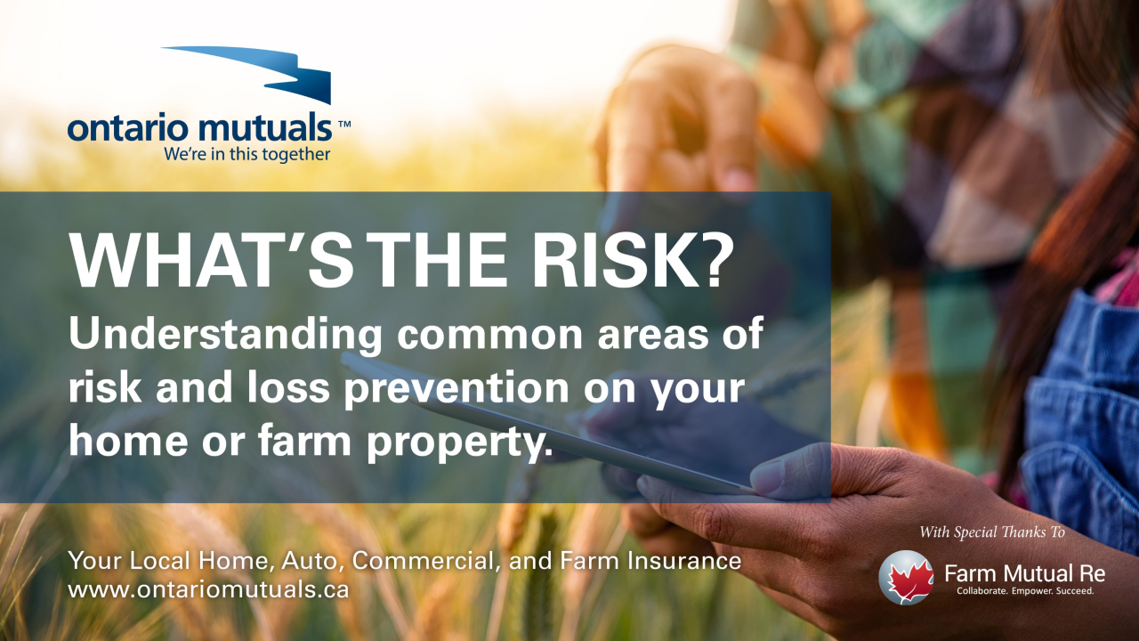 What’s the Risk? Understanding Common Loss Prevention Areas on Your Property