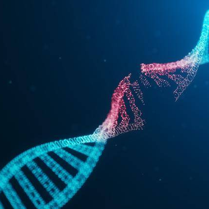 Master Mixes for Real Time PCR