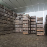 Prestation d'entreposage frigorifique