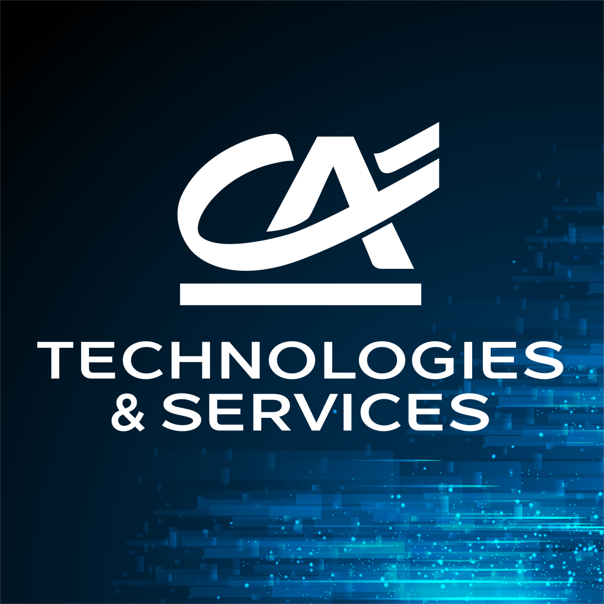 Toutes nos offres d'emploi sont à découvrir sur LinkedIN