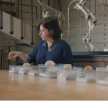 HOW CATS AND DOGS CONQUERED THE WORLD 2x52' 4K - a One Planet and Arte co-production