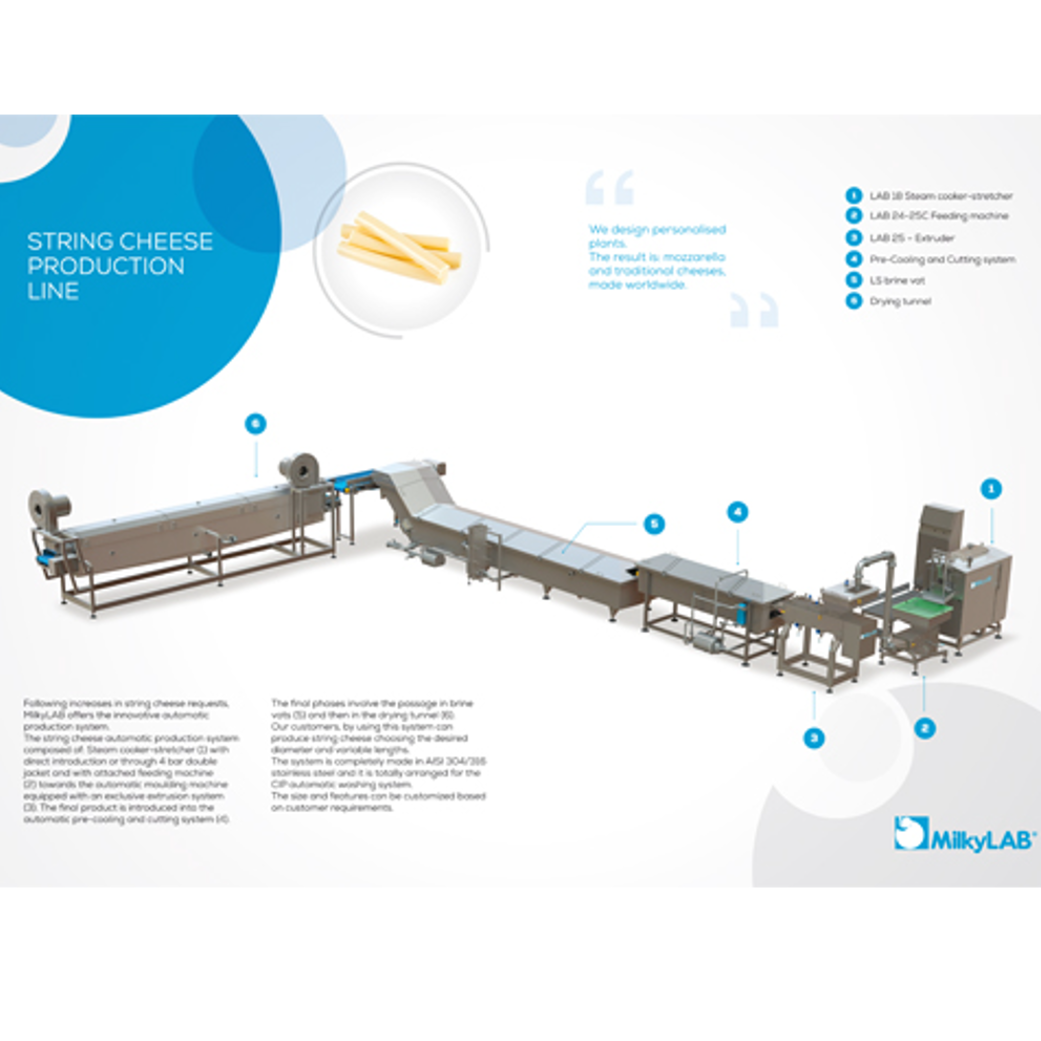 STRING CHEESE PRODUCTION LINE