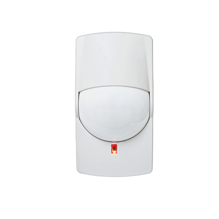 Presence intrusion sensor