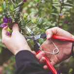 SECATEURS 1 MAIN FELCO