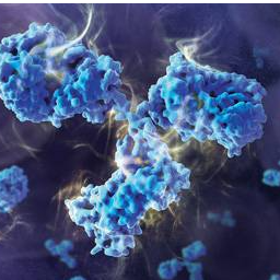 Make a difference in the future of vaccines: connect with USP Biologics