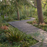 Kew Royal Botanical Gardens