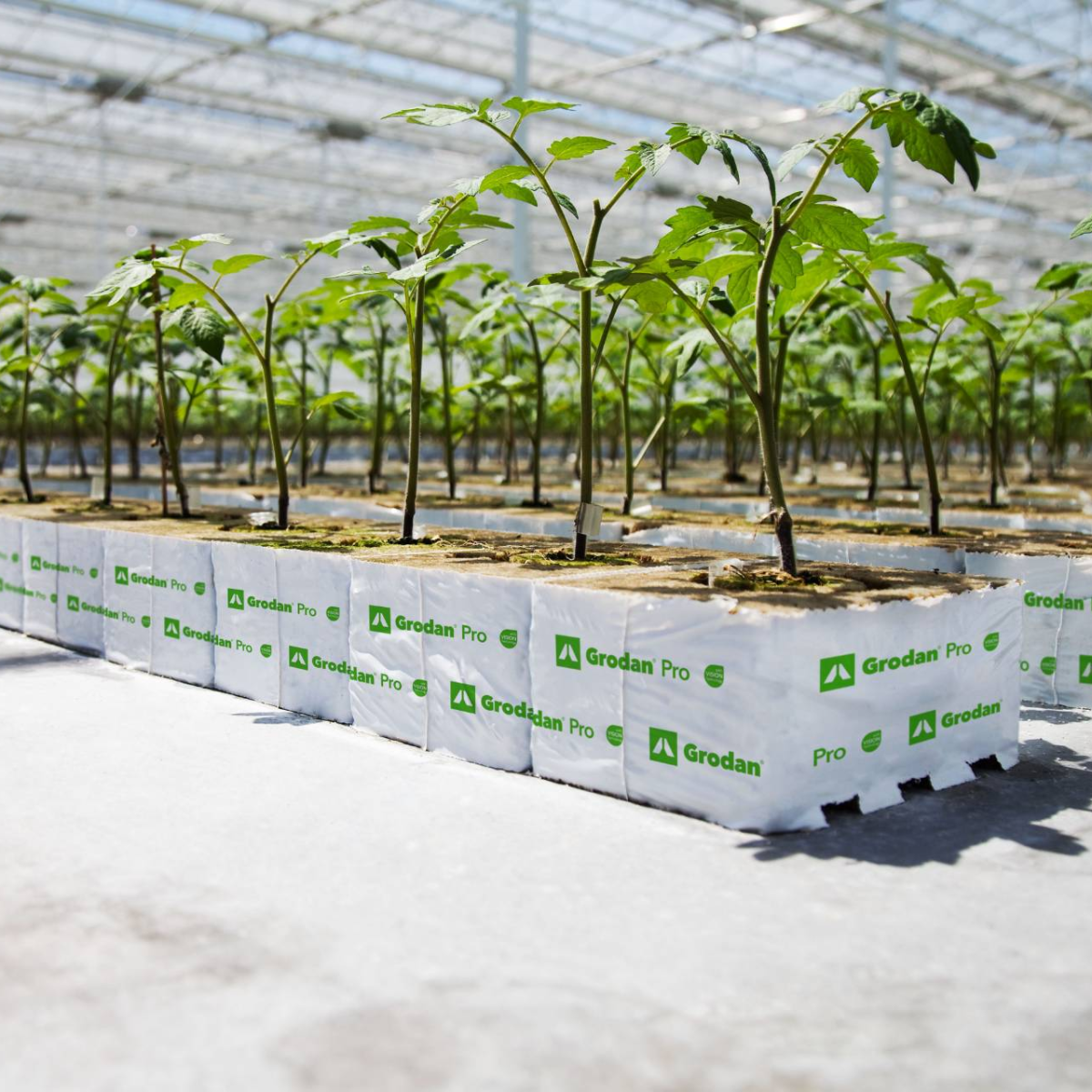 Grodan Plantop