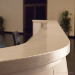 INTERNATIONAL BUSINESS CENTER FEDERATION TOWER EAST | MOSCOW, RUSSIA