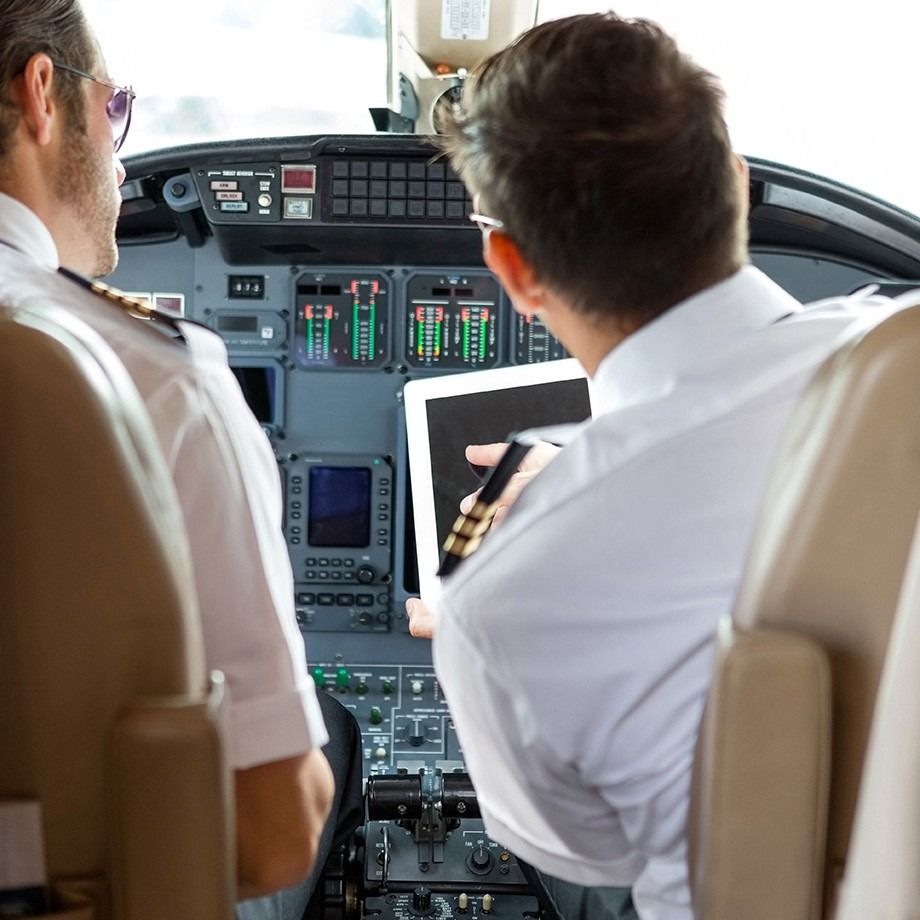 SITA EWAS & OPTIFLIGHT