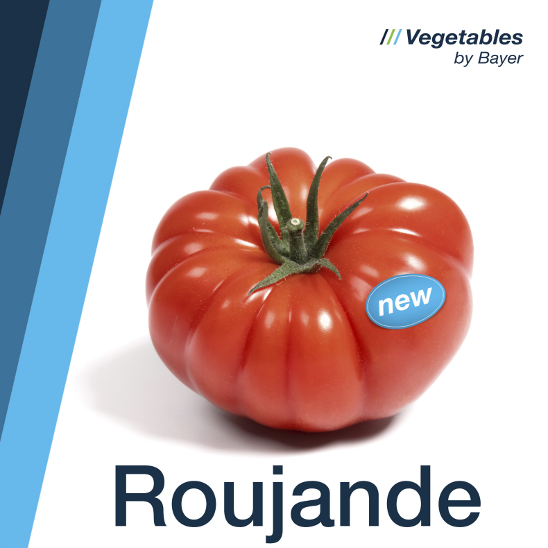 Tomate Roujande