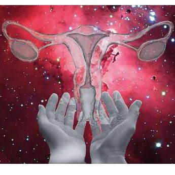 The Uterverse