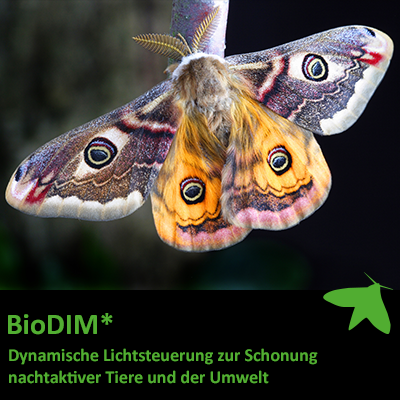 Produkte mit BioDIM* | Dynamische Lichtsteuerung zur Schonung nachtaktiver Tier und der Umwelt