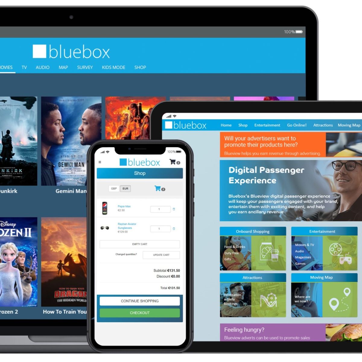 Blueview - Digital Passenger Experience Platform