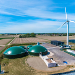 Feedstock Flexible Biogas Plants