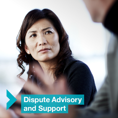 Dispute Advisory and Support - Control Risks