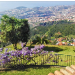 Maison T3 à Funchal