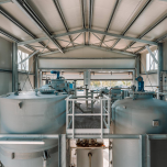 Newlisi S.p.A.: Tecnologia innovativa per la riduzione dei fanghi di depurazione con recupero di energia. Per un’economia circolare.