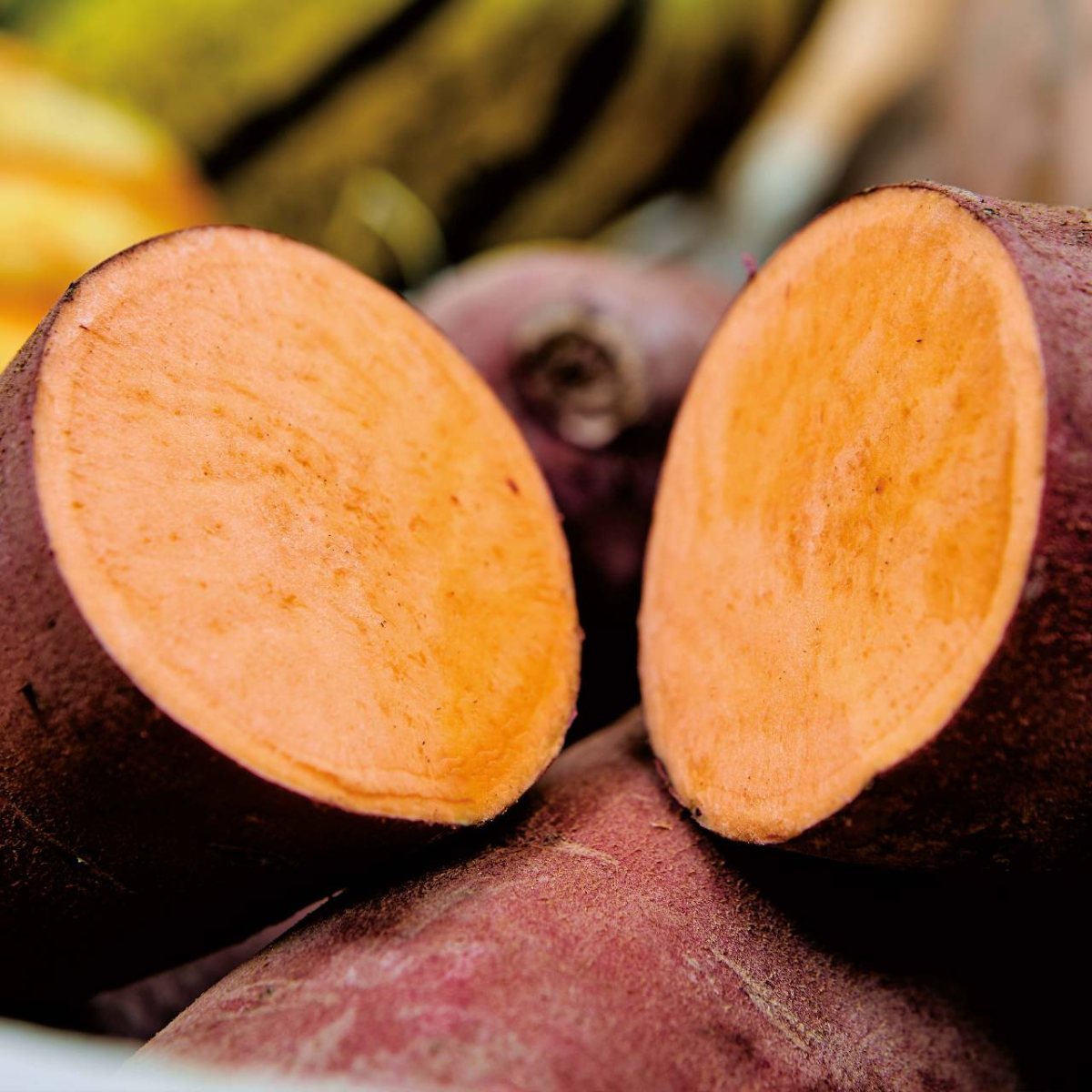 Gamme Patates douces VOLTZ Maraîchage