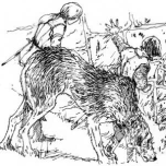 Moon Crossing, Bridge Reader