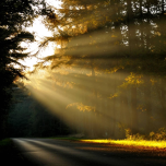 Techcomlight  Dé daglichtprofessional