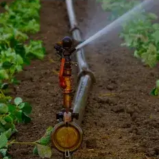 Irrigation : étude, fourniture et montage