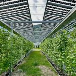 Projet insolagrin@Conthey