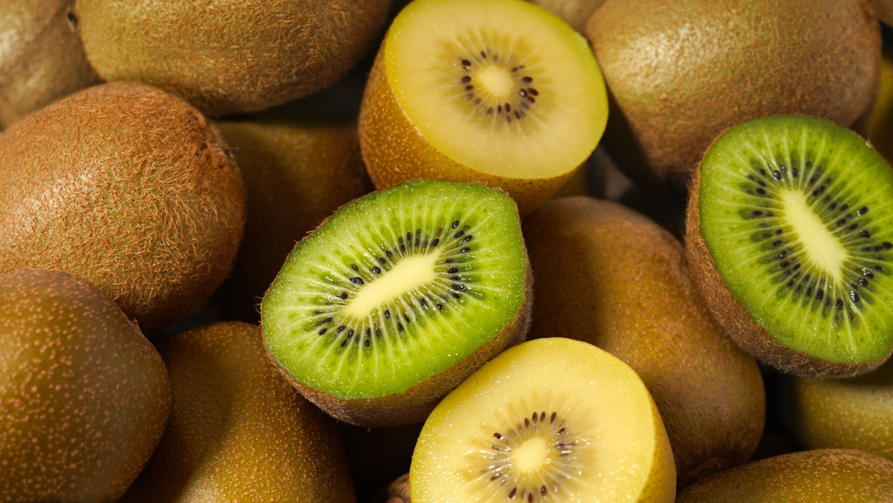 公演タイトル / Title of the show