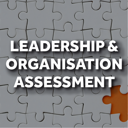 Leadership & Organisation Assessment