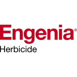 Engenia