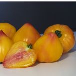 FLAMANSUN F1 (HMC 44395*)