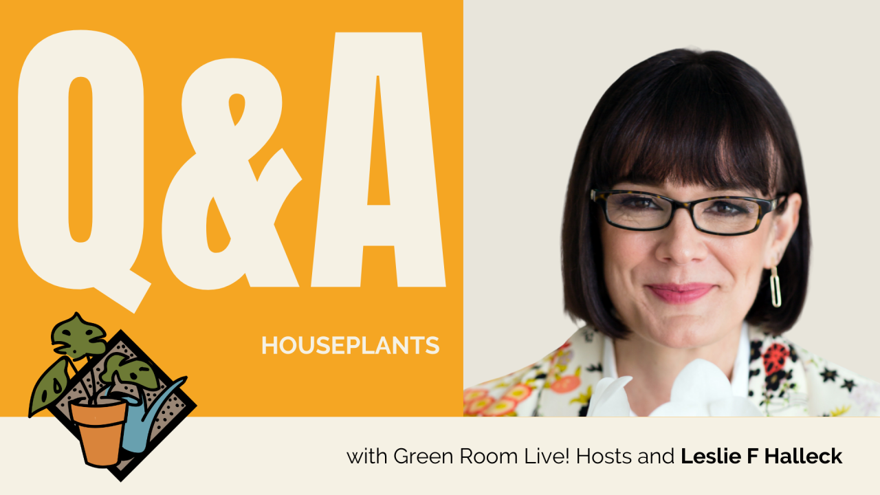 Q&A with Leslie Halleck and Green Room Live Track Hosts