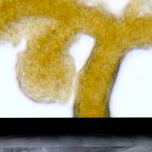 Global Slime Mould Migration