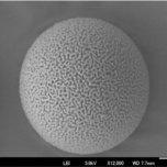 Spherical type silica particle for analytical column