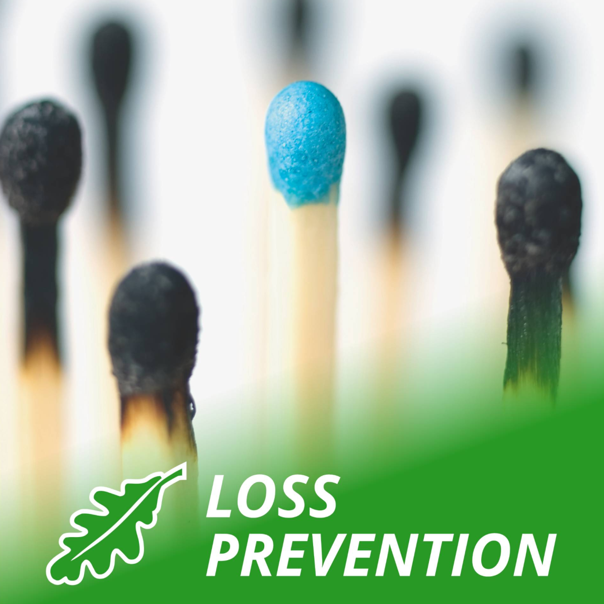 Loss Prevention Services